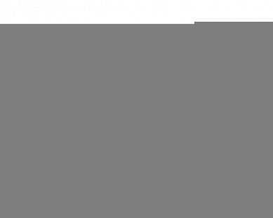 Пакет обновления BERNINA 770 QE PLUS 