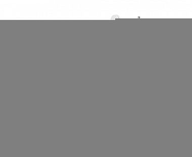 Швейная машина BERNETTE b38 Швейная машина BERNETTE b38