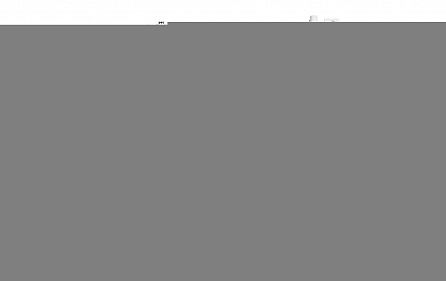 Швейная машина BERNINA 590 