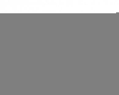 Щетка-утюжок Lelit PG 024/8 