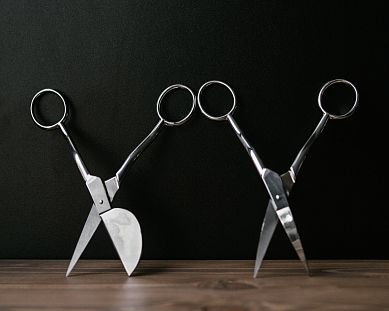 ТЕХНИКА СИНЕЛЬ, ВЕЛЬВЕТ, АППЛИКАЦИЯ